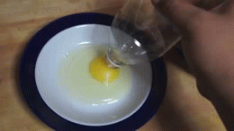 egg-separator-1